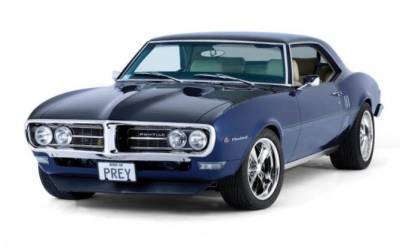 Firebird Upholstery