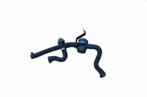 1994-1995 Mustang 5.0L Smog Tube and Valve Assembly
